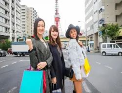 1-Day Private Tokyo Sightseeing Tour with Hotel Transfers